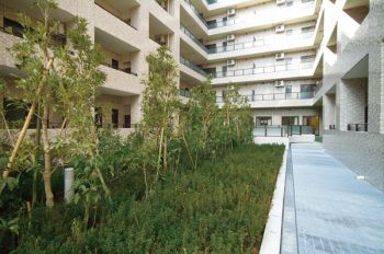 中庭 浮間舟渡ロマンヒルズ東