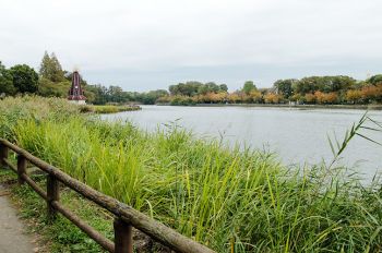 浮間釣り堀公園(2)