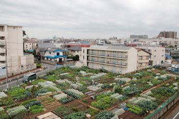 施設からの風景